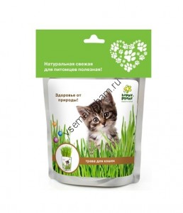 Happy Plant Трава для кошек