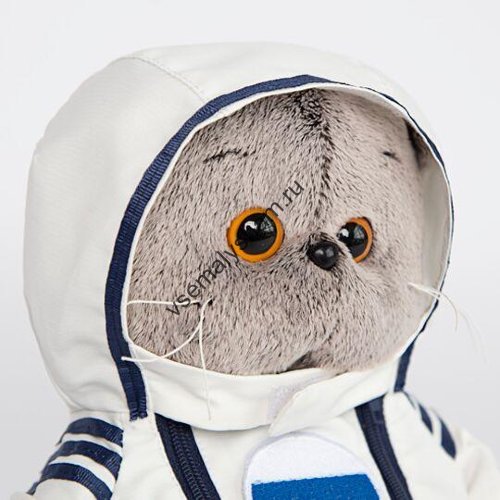 Кот Басик в костюме космонавта