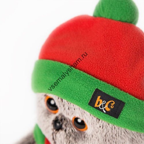 Кот Басик в оранжево-зеленой шапке и шарфике