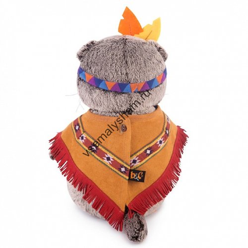 Кот Басик в костюме индейца