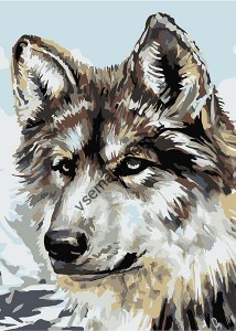 Раскраска по номерам Серый волк