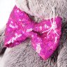 Кот Басик в галстуке-бабочке в пайетках