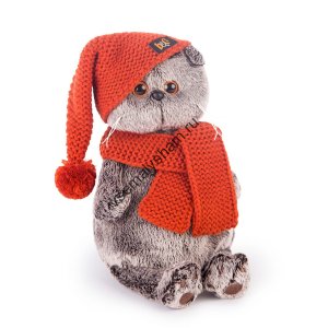 Кот Басик в вязаной шапке и шарфе