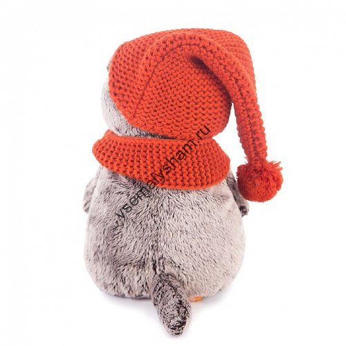 Кот Басик в вязаной шапке и шарфе