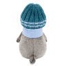 Кот Басик в голубой вязаной шапке и шарфе