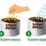 Happy Plant Трава для собак