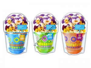 Анютины глазки набор для выращивания