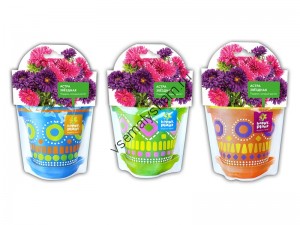 Астра звездная набор для выращивания Happy Plant