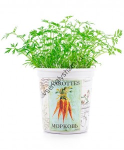 Набор для выращивания Морковь