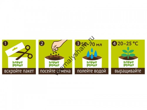 Бальзамин огонек набор для выращивания