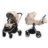 Коляска 2 в 1 Baby Tilly T T-182 Sigma