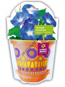 Ипомея красотка набор для выращивания