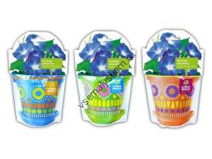 Ипомея красотка набор для выращивания