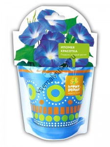 Ипомея красотка набор для выращивания