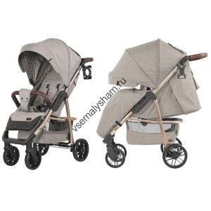 Коляска прогулочная BABY TILLY T-166 Eco