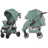 Коляска прогулочная BABY TILLY T-166 Eco