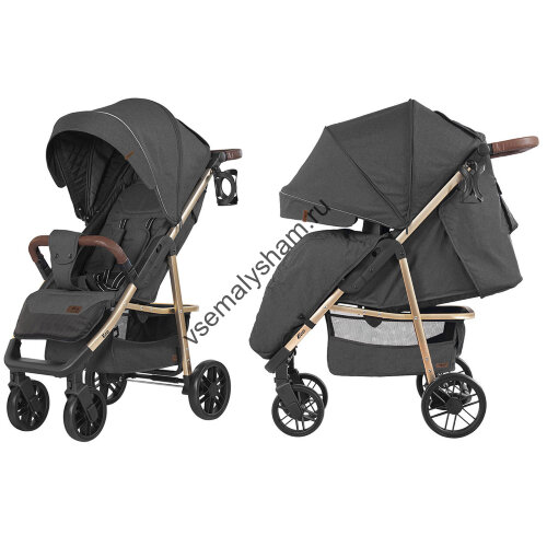 Коляска прогулочная BABY TILLY T-166 Eco
