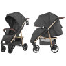 Коляска прогулочная BABY TILLY T-166 Eco