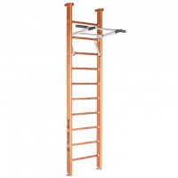 Детский спортивный комплекс Perfetto sport Salute PS-101