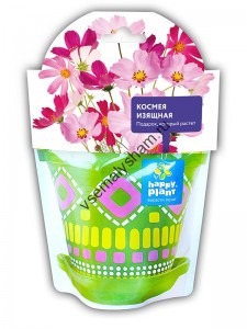 Космея изящная набор для выращивания