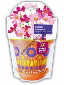 Космея изящная набор для выращивания