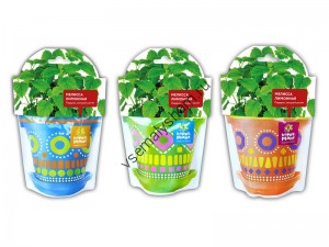 Мелисса лимонная набор для выращивания