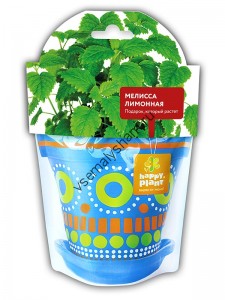 Мелисса лимонная набор для выращивания