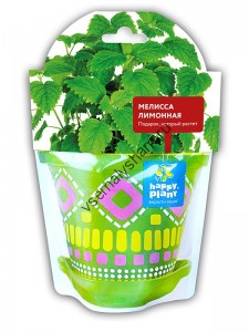 Мелисса лимонная набор для выращивания