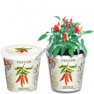 Набор для выращивания Перец