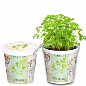 Набор для выращивания Петрушка