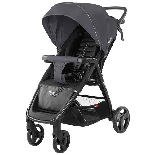 Прогулочная коляска CARRELLO Maestro CRL-1414
