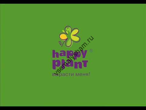 Набор для выращивания Ипомея Видео