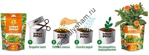 Набор для выращивания Календула