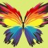 Картина по номерам Бабочка-многоцветница