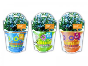 Незабудка голубая набор для выращивания