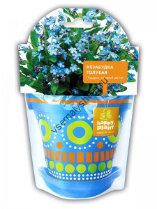 Незабудка голубая набор для выращивания