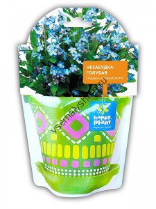 Незабудка голубая набор для выращивания