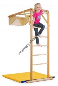 Детский спортивный комплекс Kidwood Жираф