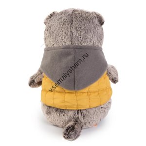 Кот Басик в желтой жилетке с серым капюшоном