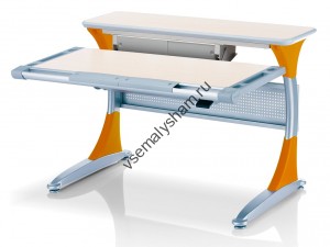 бел-оранжевый