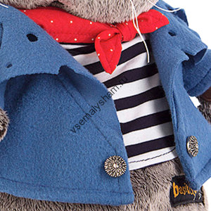 Кот Басик - пират