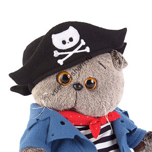 Кот Басик - пират