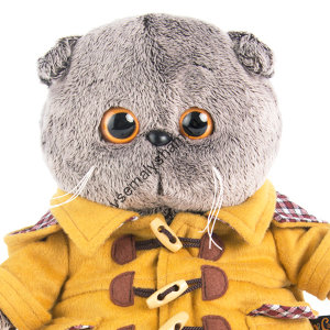 Кот Басик в дафлкоте