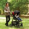 Коляска Graco Evo XT