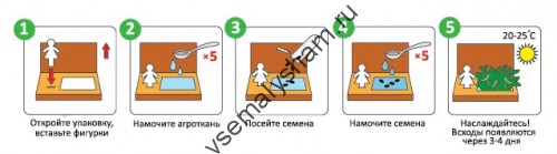 Подарочный набор Живая открытка Поздравляю