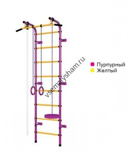 ДСК Пионер - С1Н пурпурно-желтый