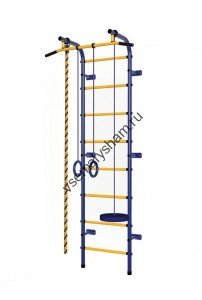 ДСК Пионер - С1Н сине-желтый