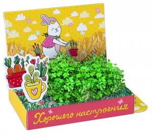 Подарочный набор Живая открытка Хорошего настроения