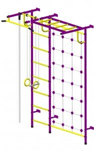 ДСК Пионер - С4С пурпурно-желтый