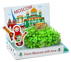 Подарочный набор Живая открытка Москва №1